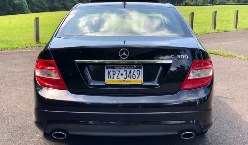2010 Mercedes-Benz C300 full